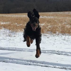 Meet your Posher, Alena